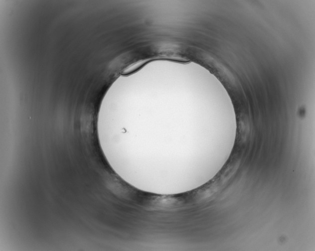 X0000103260379200809191724