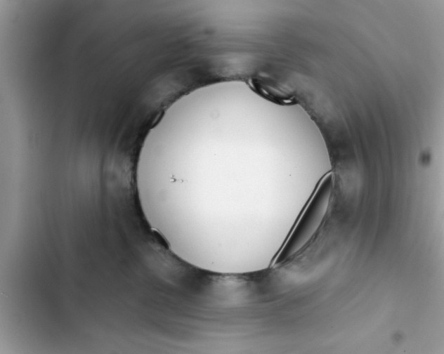 X0000103260380200809191724