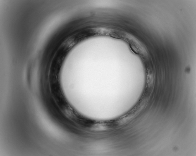 X0000103260381200809191724