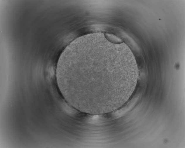 X0000103260382200809191724