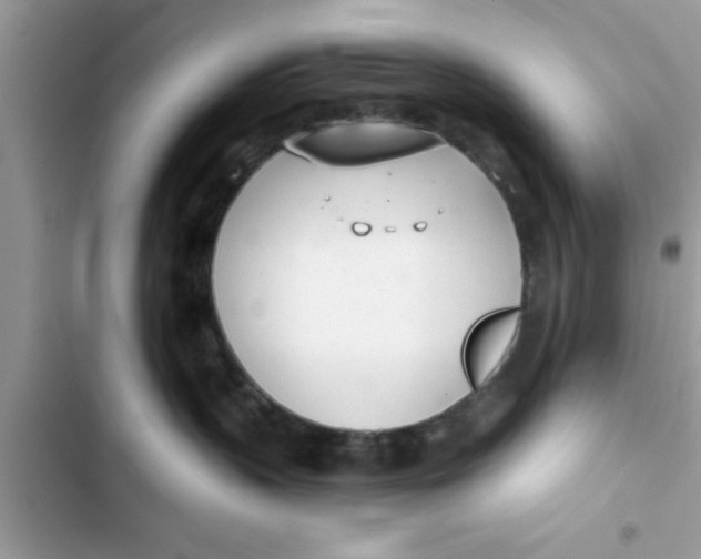 X0000103260383200809191724