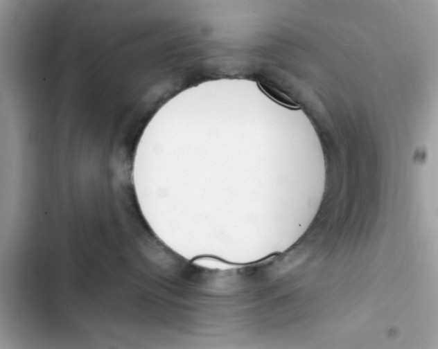 X0000103260384200809191724