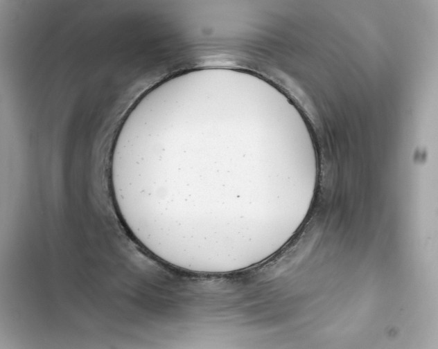 X0000103260385200809191724