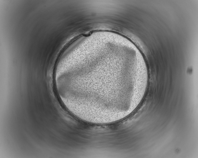 X0000103260386200809191724