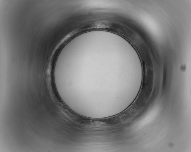 X0000103260387200809191724