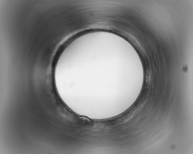 X0000103260388200809191723