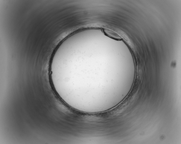 X0000103260389200809191723