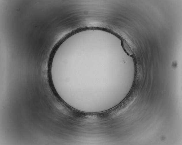 X0000103260391200809191723