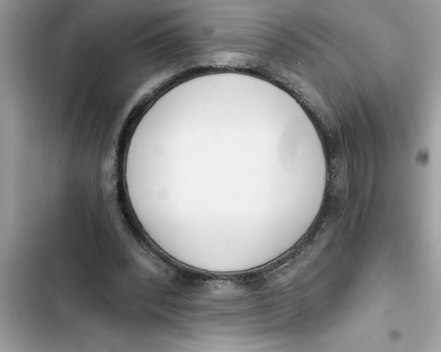 X0000103260392200809191723