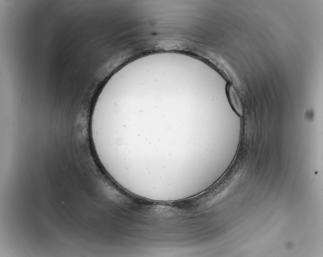 X0000103260393200809191723