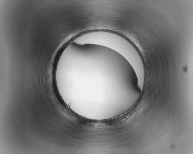 X0000103260395200809191723