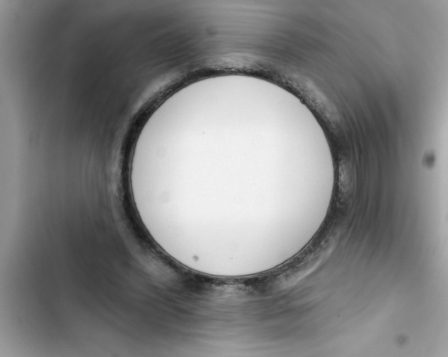 X0000103260396200809191723