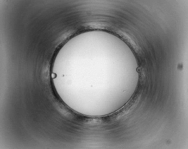 X0000103260398200809191723