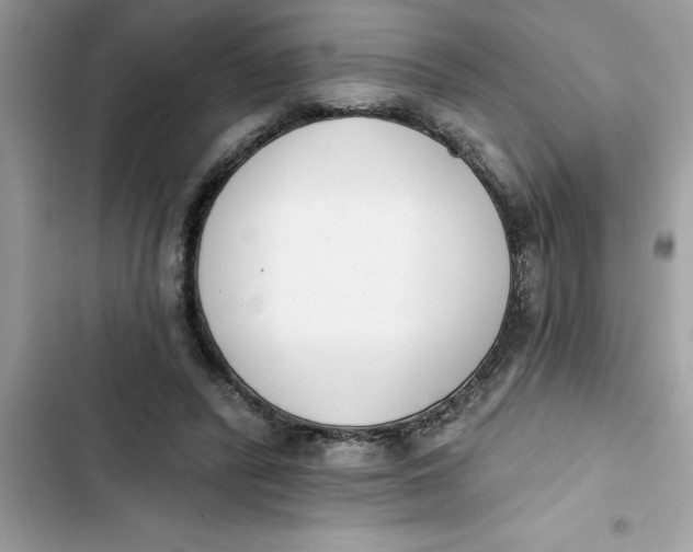 X0000103260400200809191723