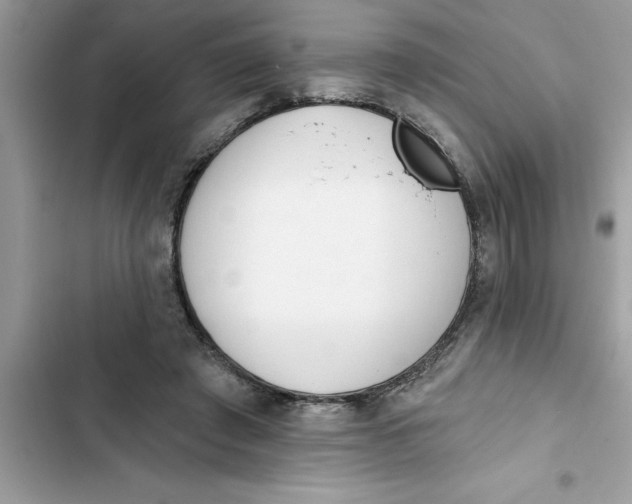 X0000103260401200809191723