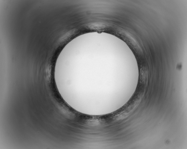 X0000103260404200809191723