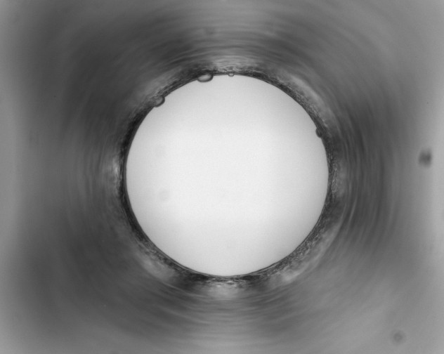 X0000103260405200809191723