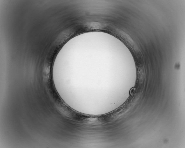 X0000103260406200809191723