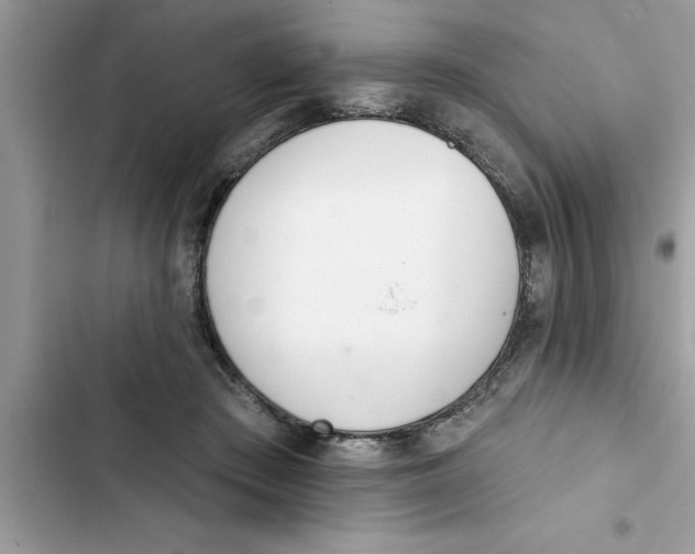 X0000103260409200809191723