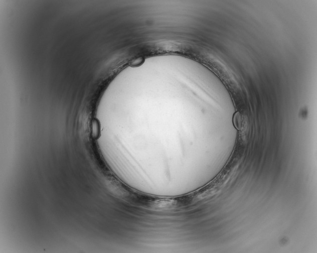 X0000103260410200809191723