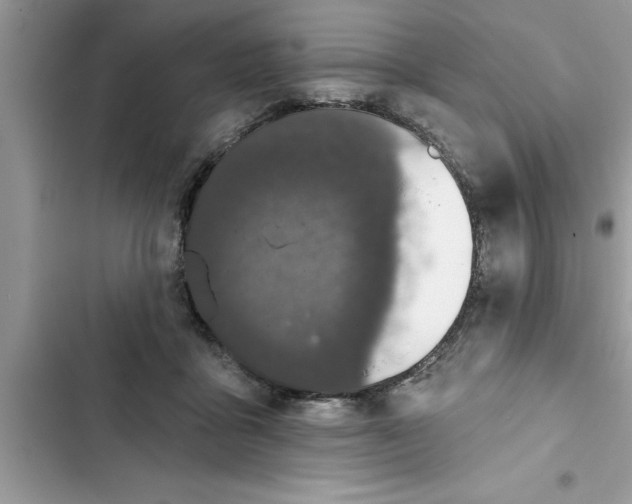 X0000103260411200809191723