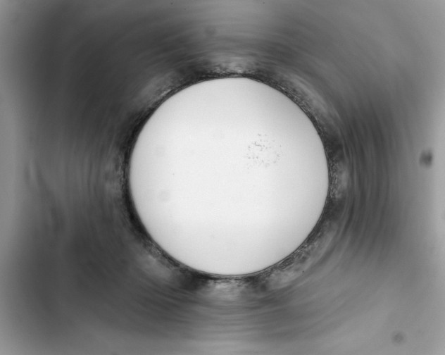 X0000103260414200809191723