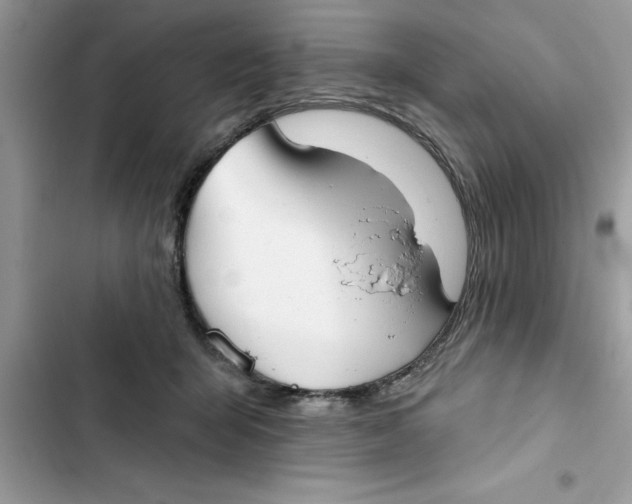 X0000103260415200809191723