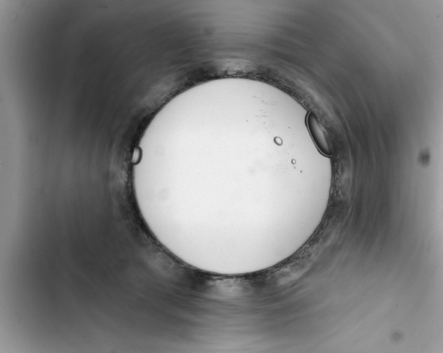 X0000103260417200809191723