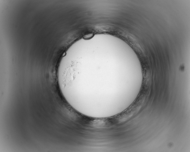 X0000103260418200809191723