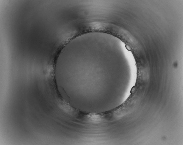 X0000103260419200809191723