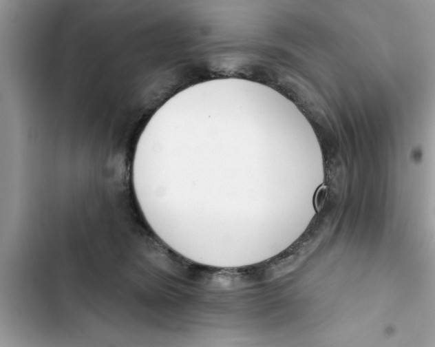 X0000103260420200809191723