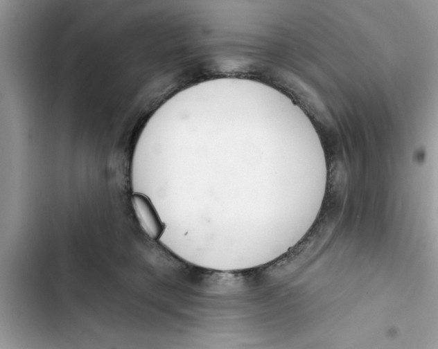 X0000103260421200809191723