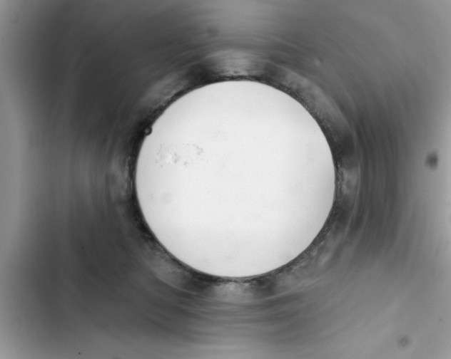 X0000103260422200809191723