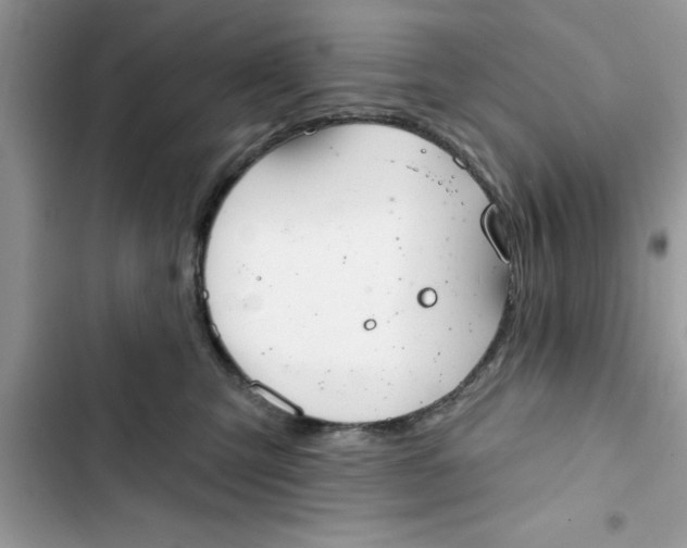 X0000103260423200809191723