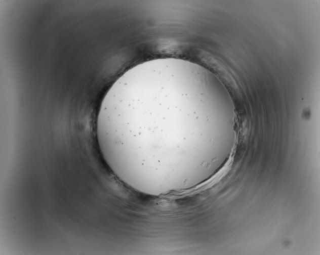 X0000103260424200809191723