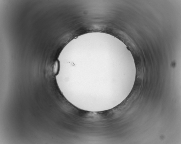 X0000103260425200809191723