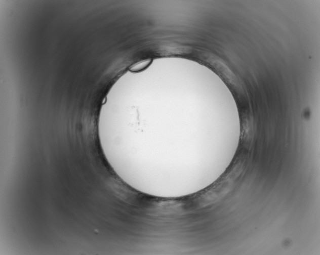 X0000103260426200809191723