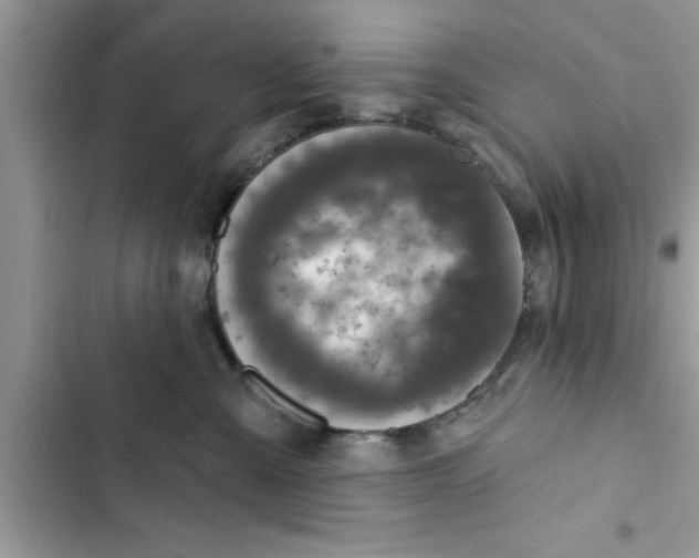 X0000103260427200809191723