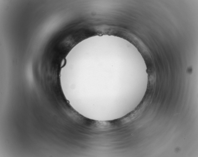 X0000103260429200809191723