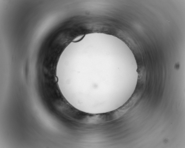 X0000103260430200809191723