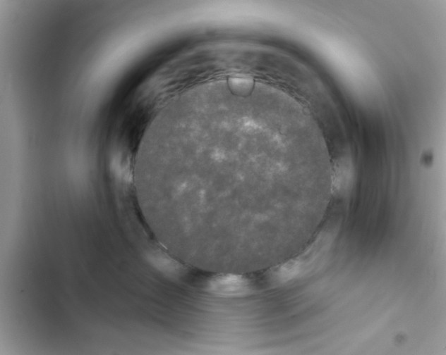 X0000103260431200809191723