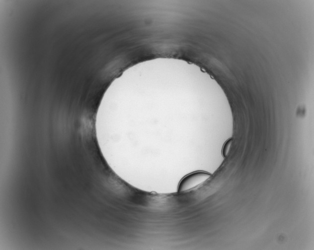 X0000103260432200809191723