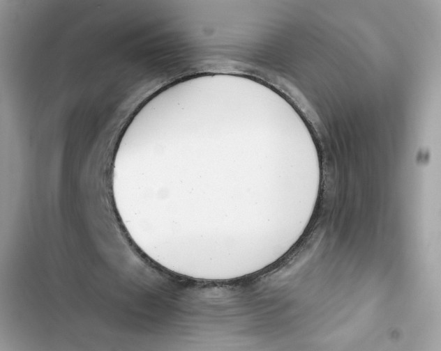 X0000103260433200809191722