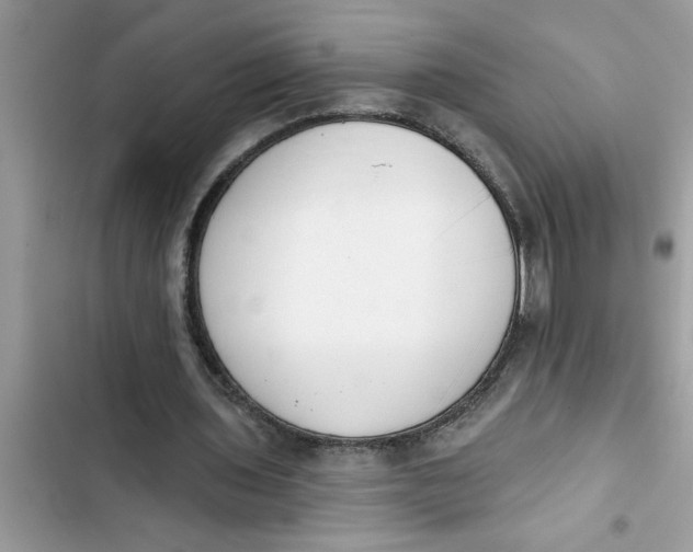 X0000103260435200809191722