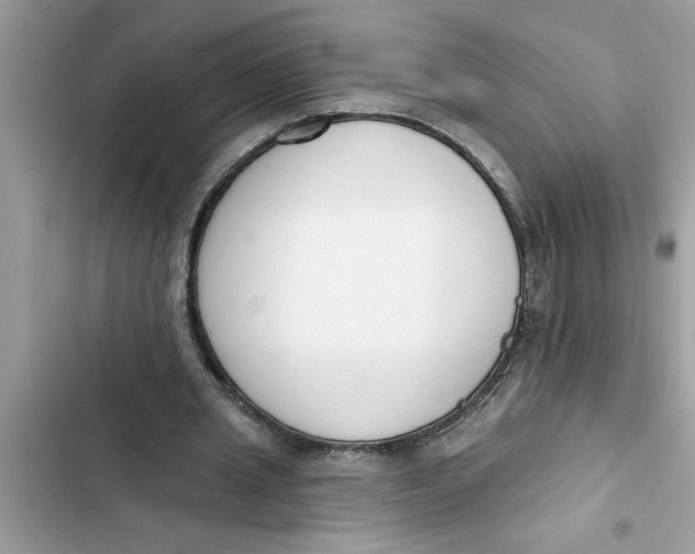 X0000103260437200809191722