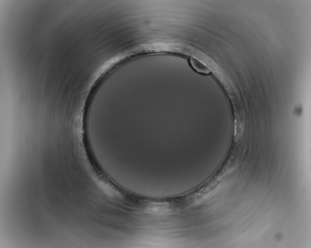 X0000103260438200809191722