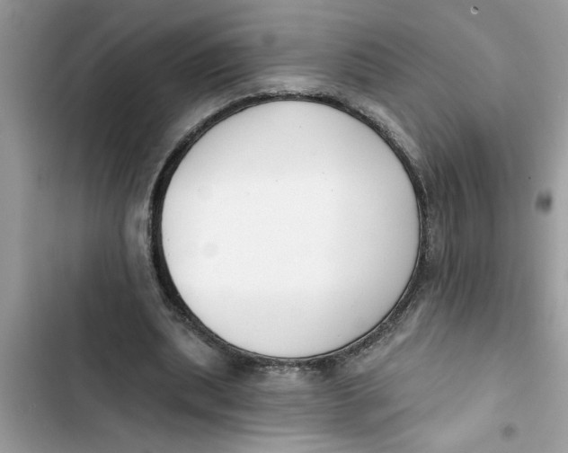 X0000103260439200809191722