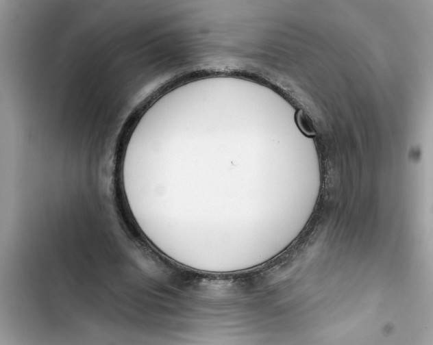 X0000103260440200809191722