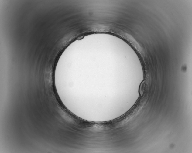 X0000103260441200809191722