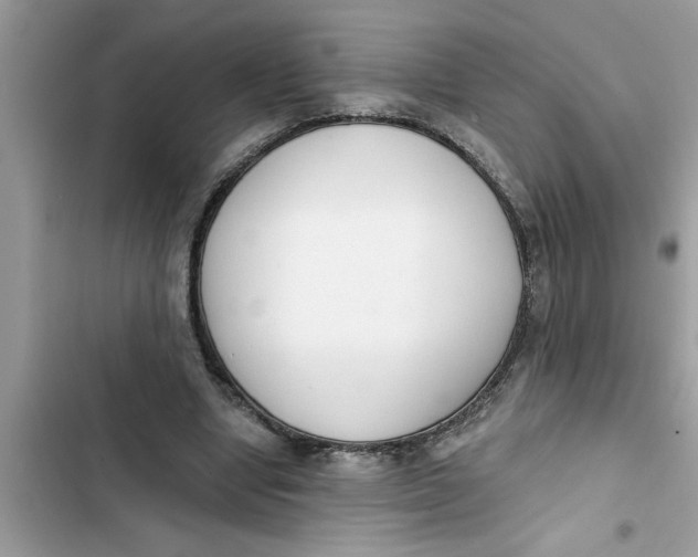 X0000103260442200809191722